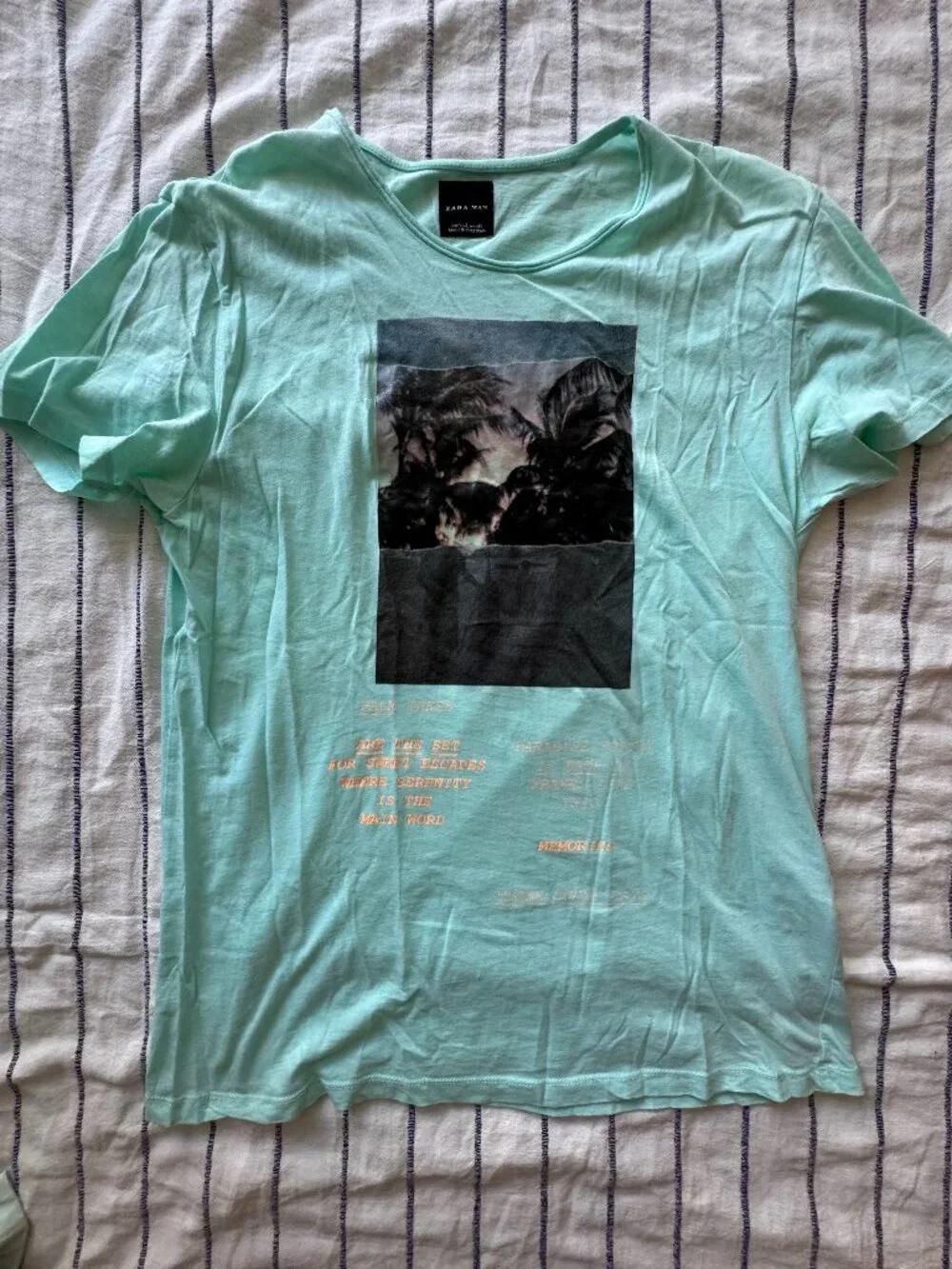 Zara Men's Tee - Picture 1 of 3